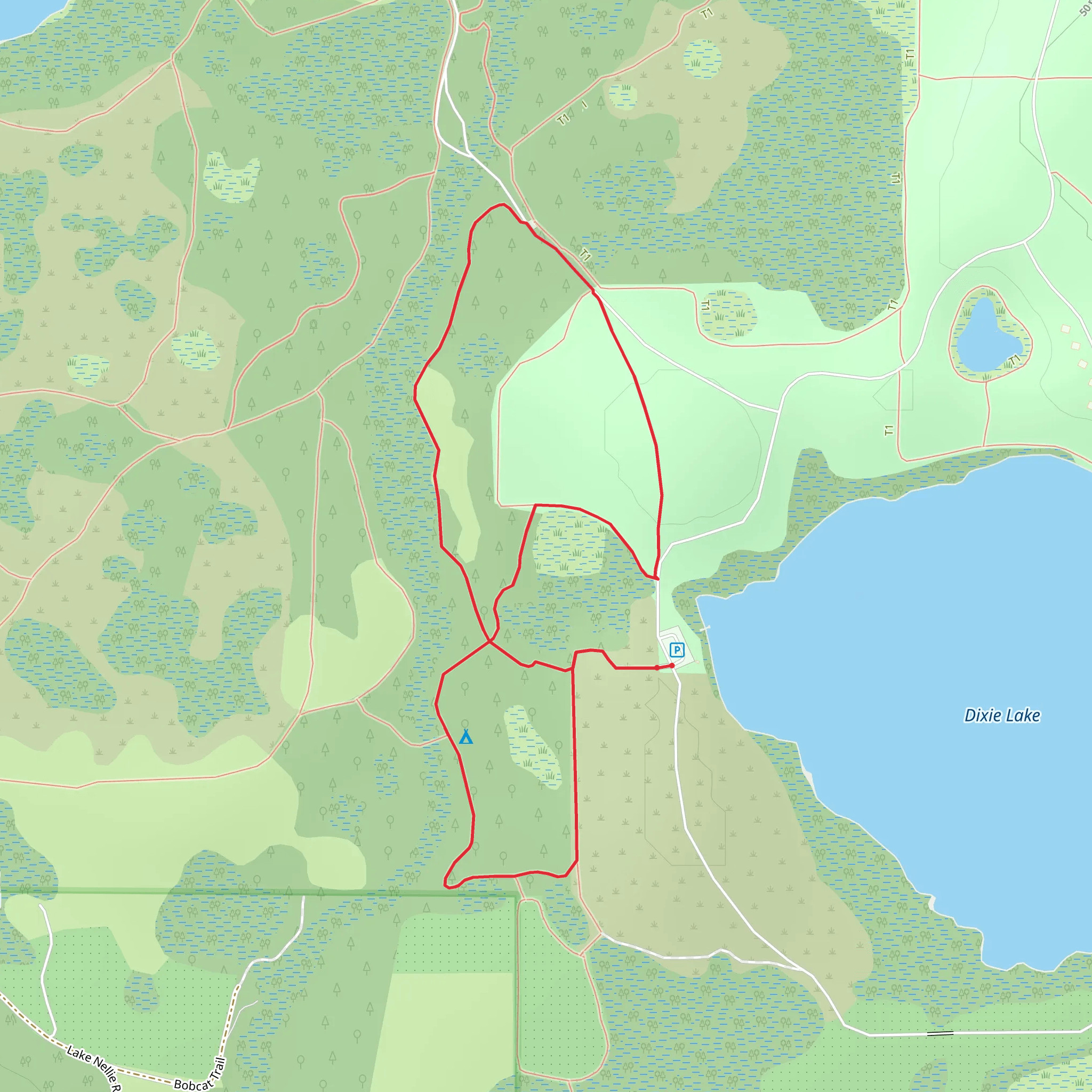 Pine Point Primative Campsite Loop mobile static map