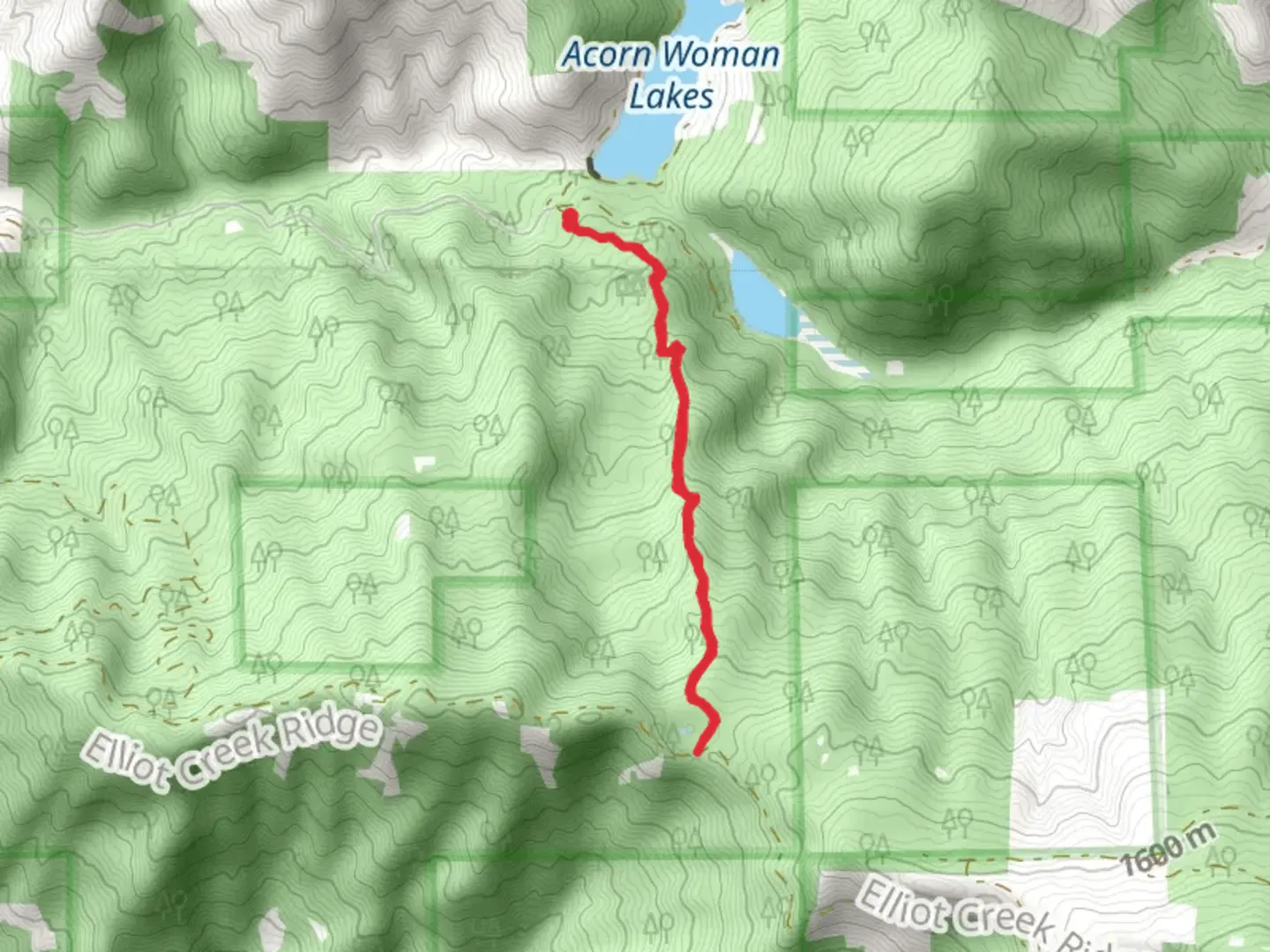 An image depicting the trail Summit Lake Trail - Acorn Woman Lakes and its surrounding area.