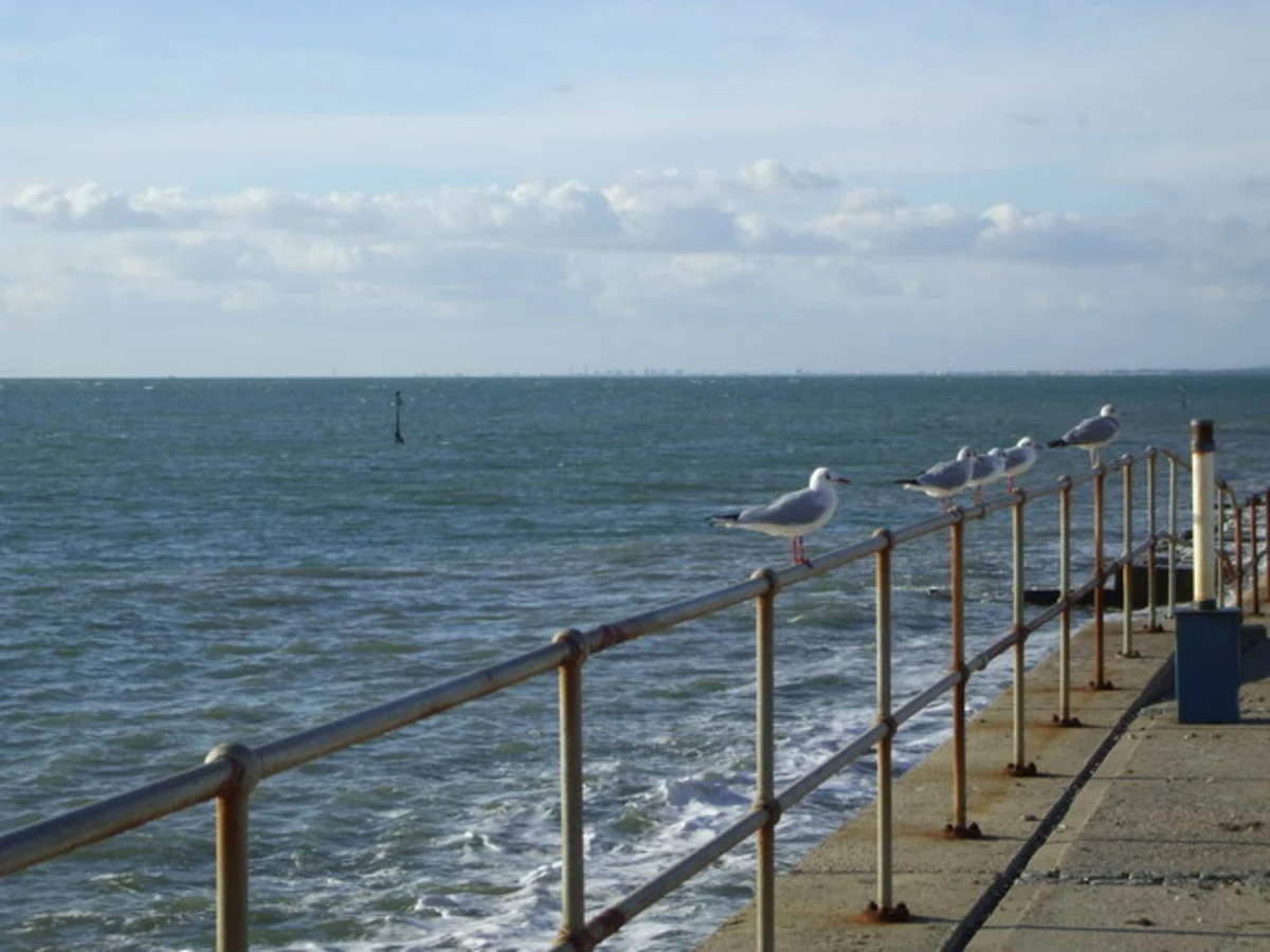 Selsey to Church Norton Loop