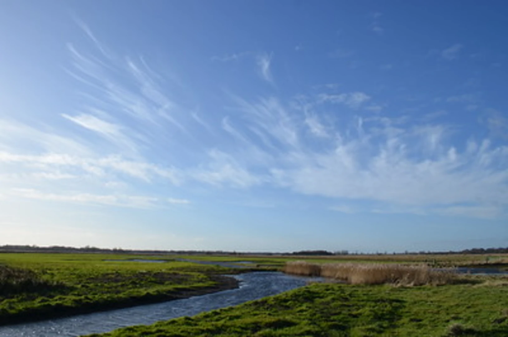 An image depicting the trail Carlton Marshes and Nicholas Everitt Park Loop and its surrounding area.
