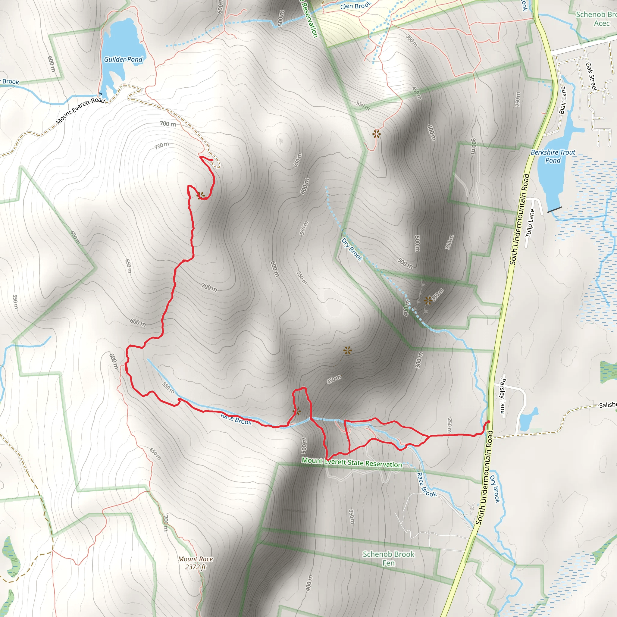 Mount Everett via Race Brook Trail mobile static map