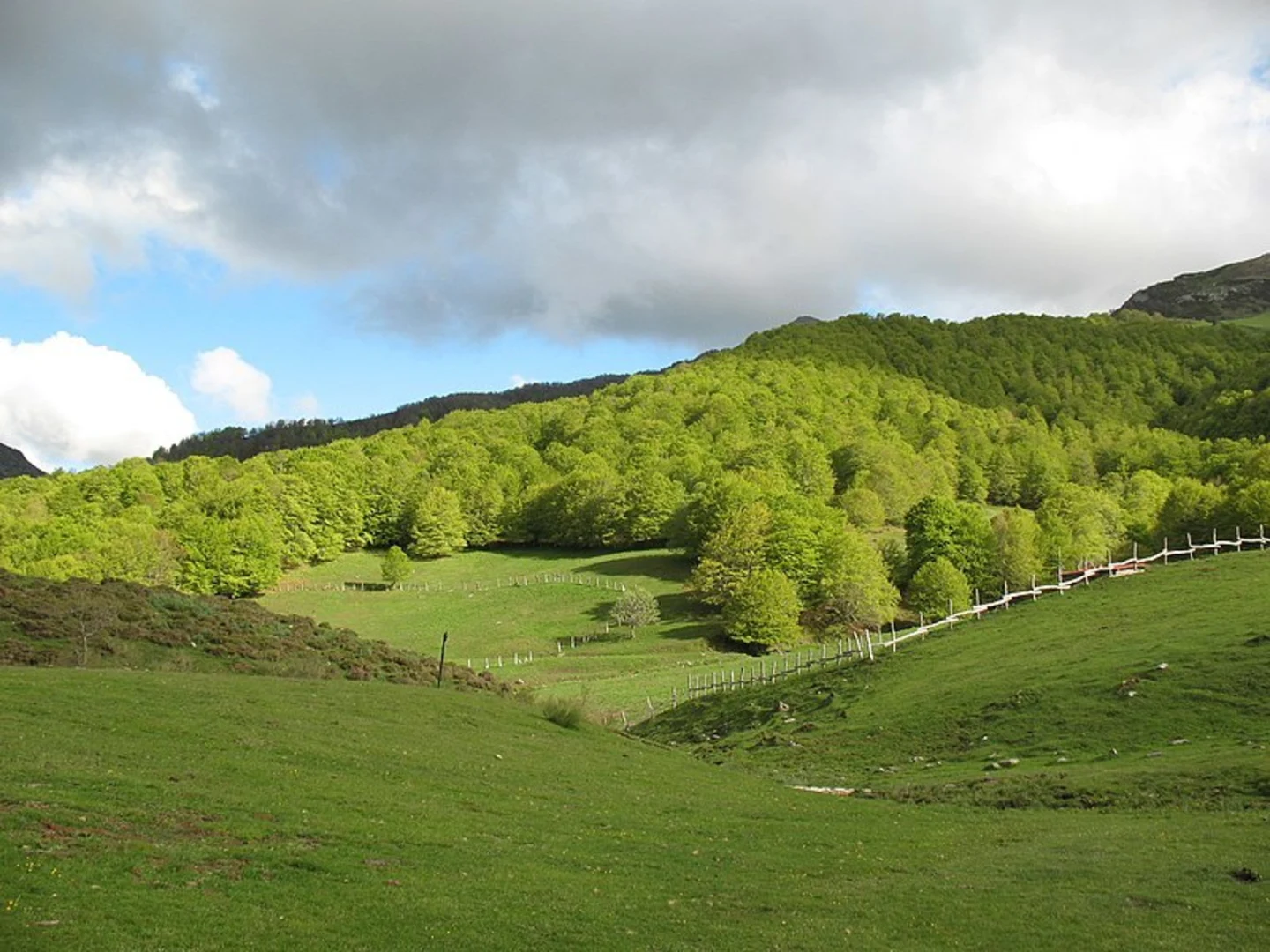 An image depicting the trail PR PNPE 9 Soto de Sajambre - Vegabaño and its surrounding area.