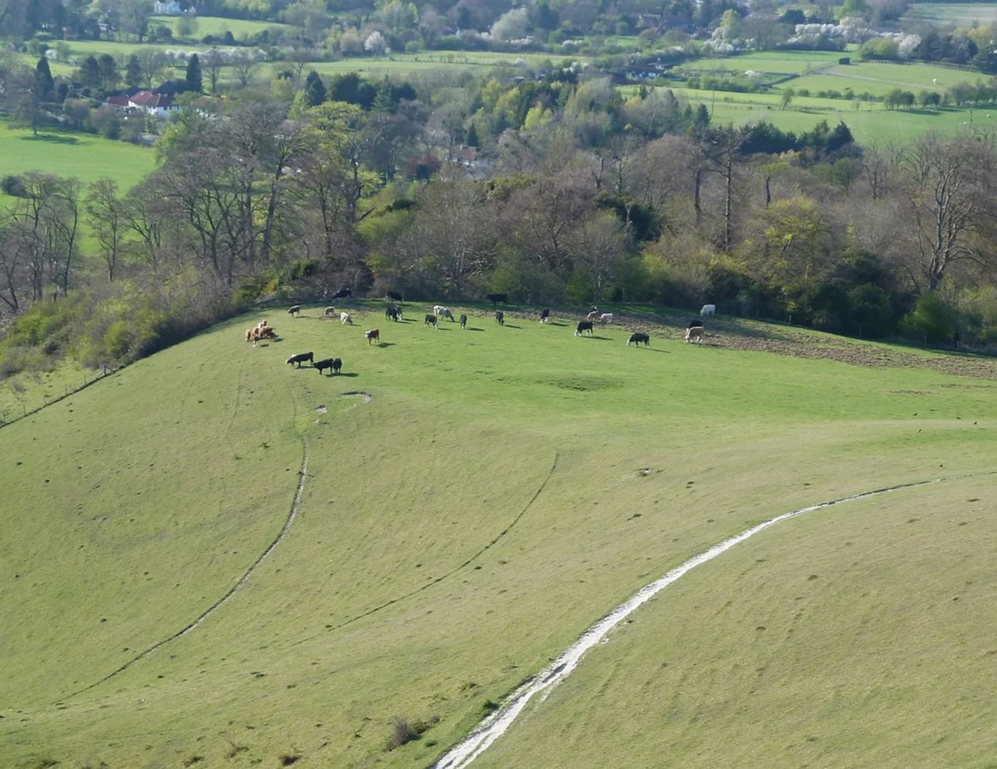 An image depicting the trail Whorley and Ellesborough Loop and its surrounding area.