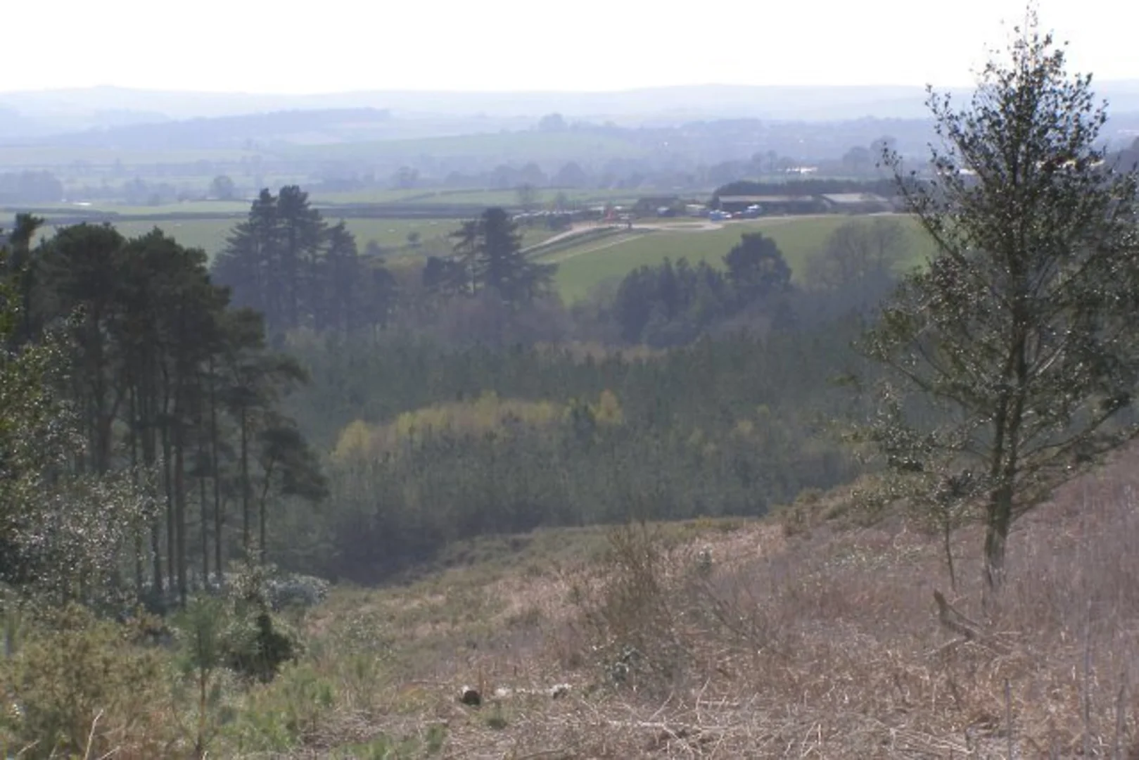 An image depicting the trail Thorncombe Woods Loop and its surrounding area.