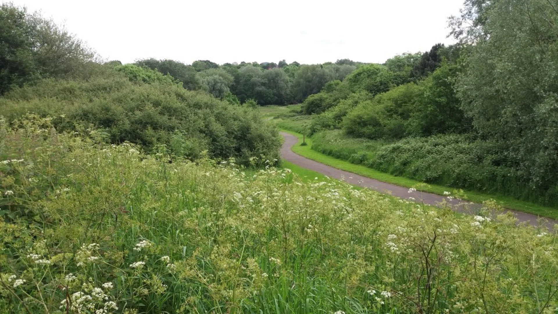 An image depicting the trail Woodgate Valley Country Park Loop and its surrounding area.