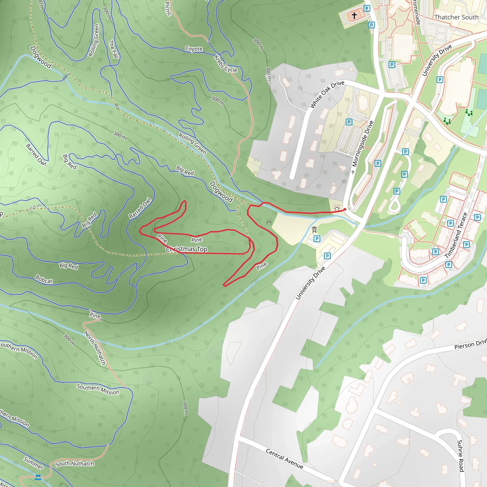 Pine and Dogwood Loop mobile static map