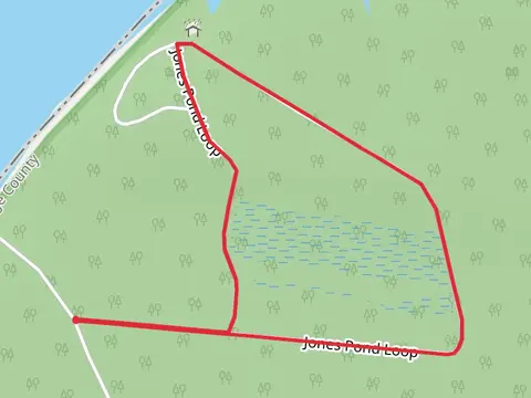 Jones Pond Loop
