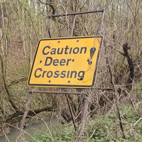 Run from Whitby Truck Stop