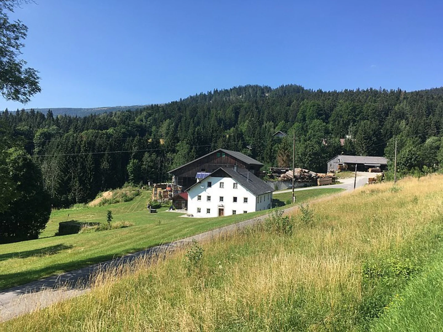 An image depicting the trail Glashüttenweg and its surrounding area.
