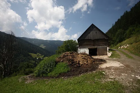 An image depicting the trail Vorberg Walk and its surrounding area.