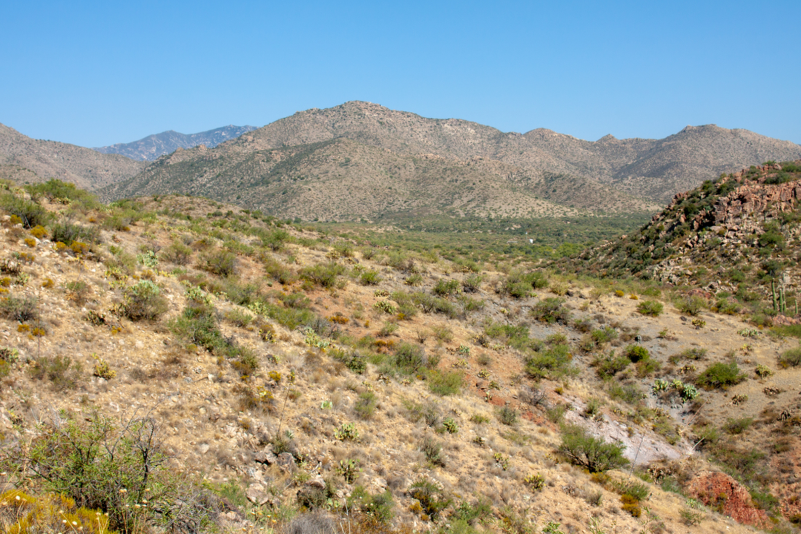 An image depicting the trail Cherry Creek Trail and its surrounding area.
