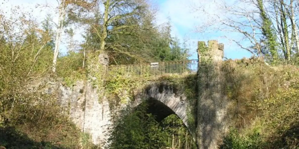 Glenbower Woods Blue Trail