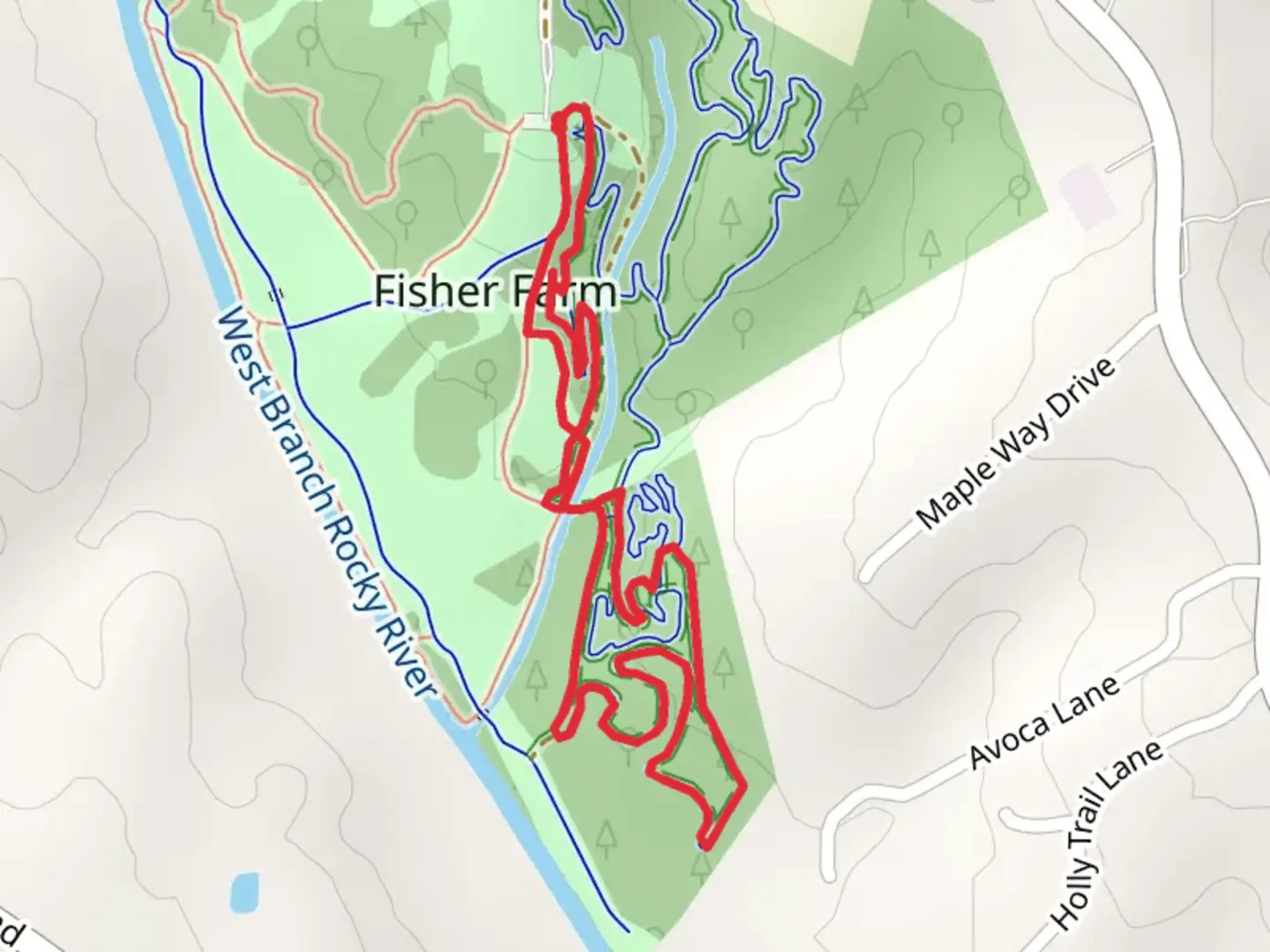 An image depicting the trail Main Loop and its surrounding area.