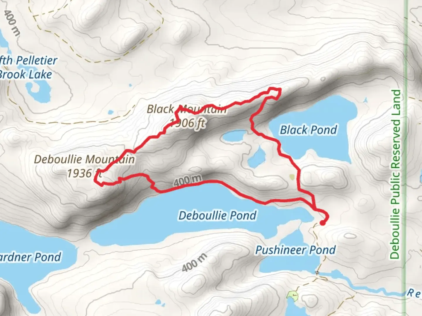 An image depicting the trail Black Mountain and Deboullie Mountain Loop via Black Pond and its surrounding area.