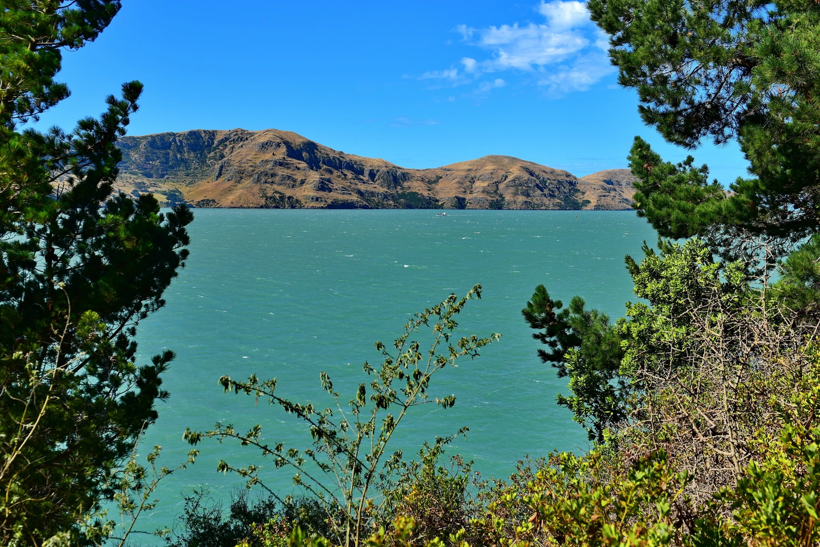 An image depicting the trail Head to Head Coastal Cliffs Walkway and its surrounding area.