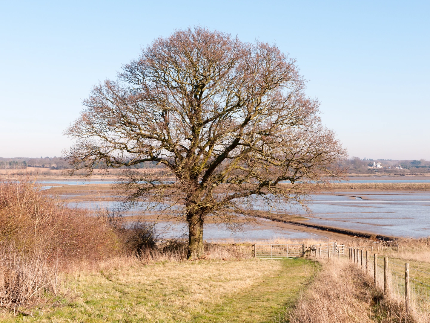 An image depicting the trail West Bergholt Loop in Essex and its surrounding area.