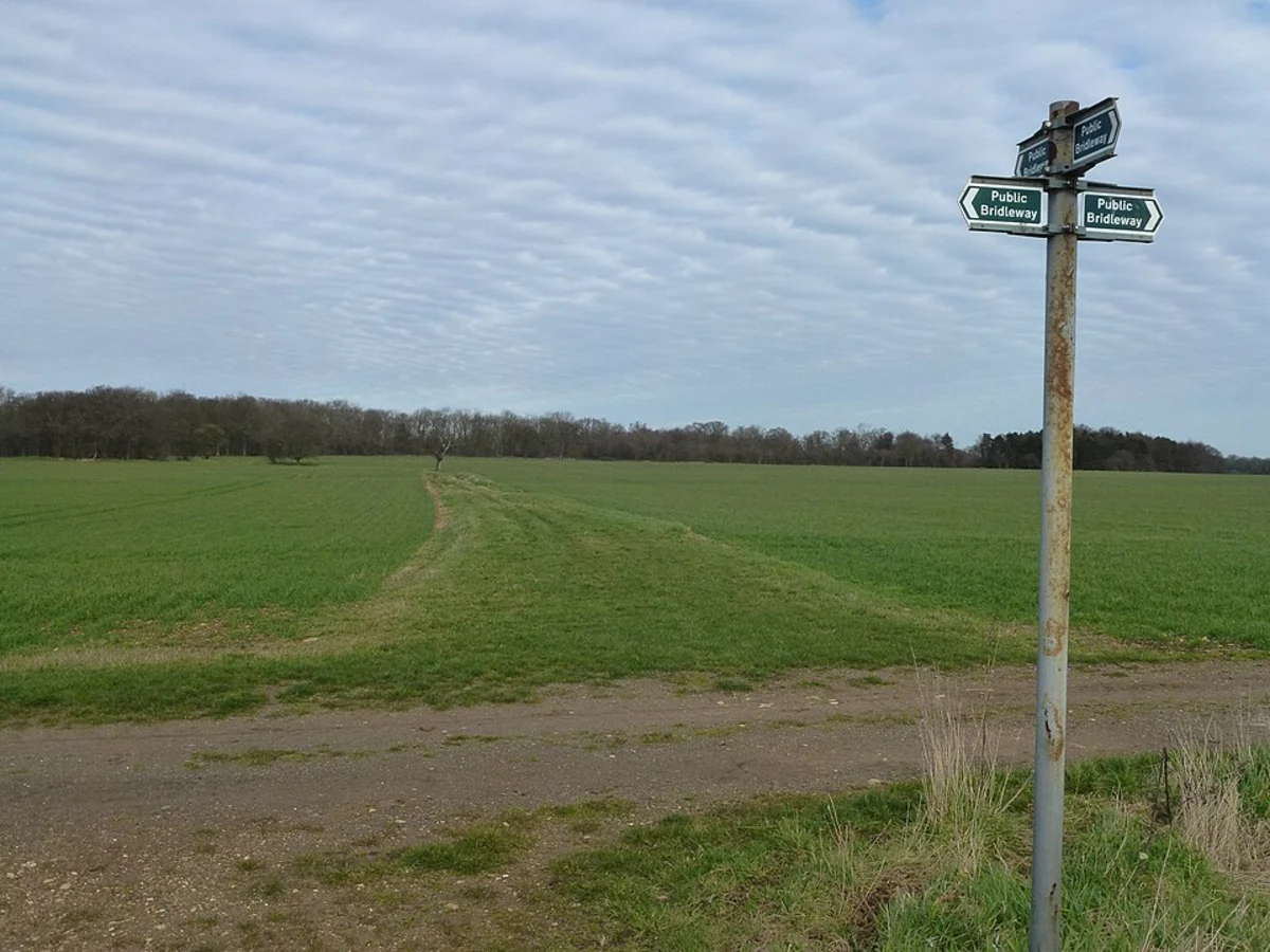 Castor Hanglands NNR