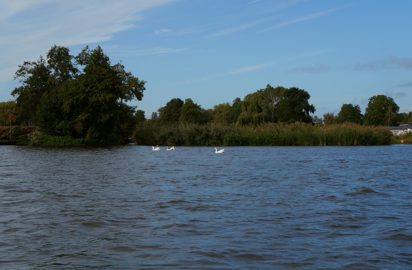 An image depicting the trail Hoogwaterzone and Molengat Loop and its surrounding area.