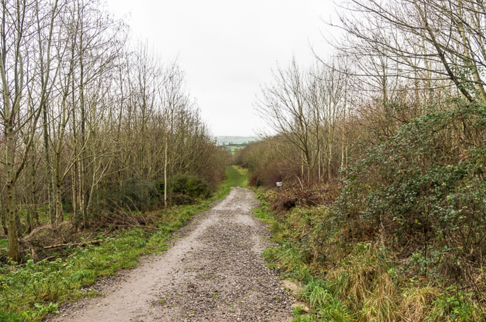 An image depicting the trail Weston to Primrose Hill and its surrounding area.