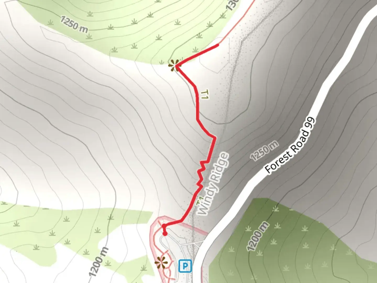 An image depicting the trail Windy Ridge Viewpoint and its surrounding area.