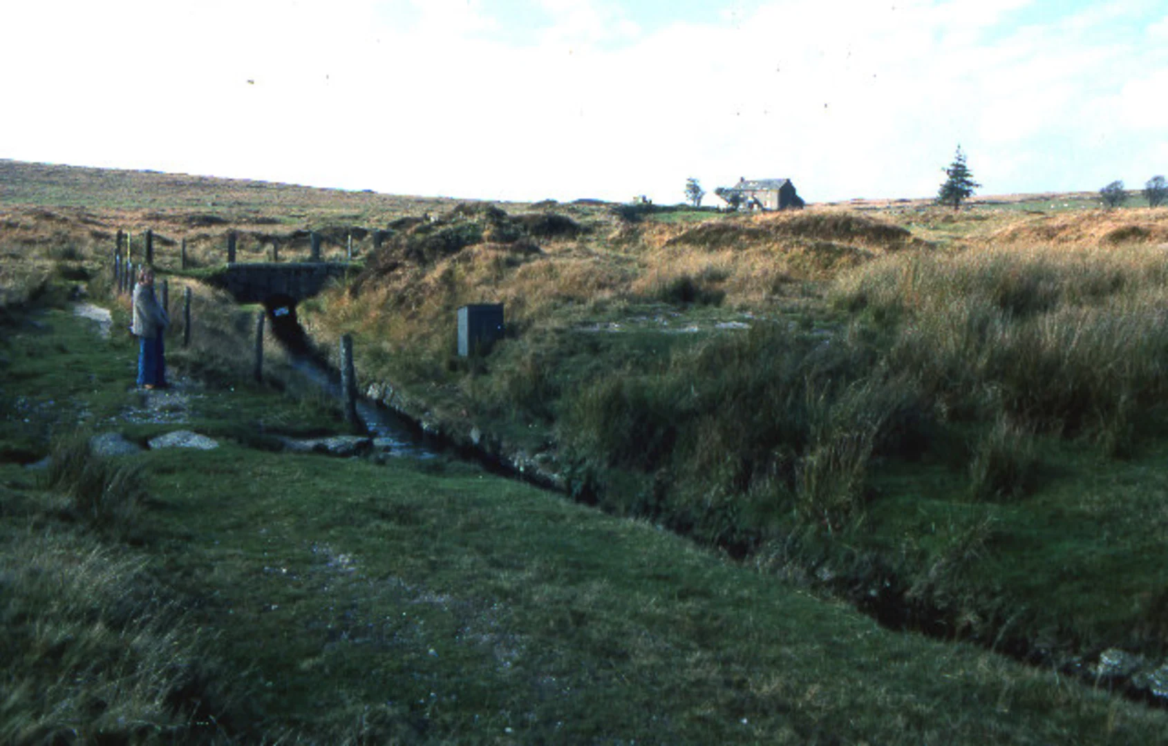 An image depicting the trail Peter Cot Loop and its surrounding area.