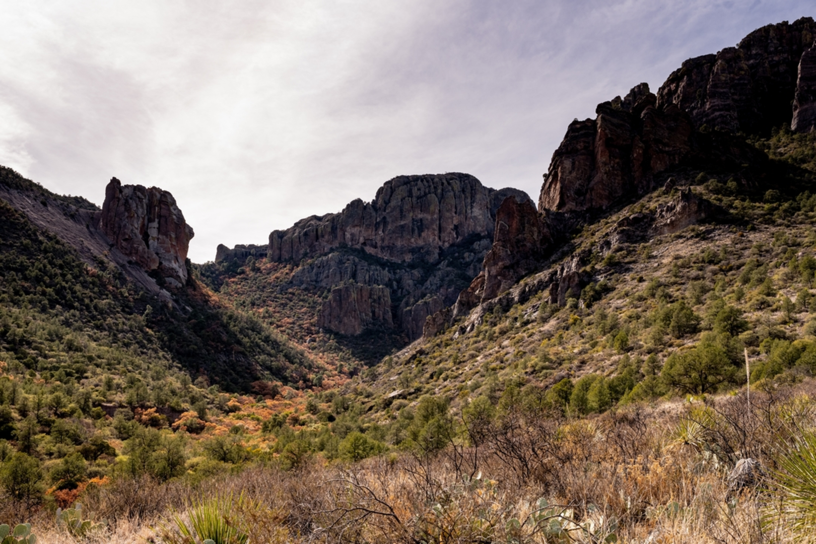 An image depicting the trail Pine Canyon Trail and its surrounding area.