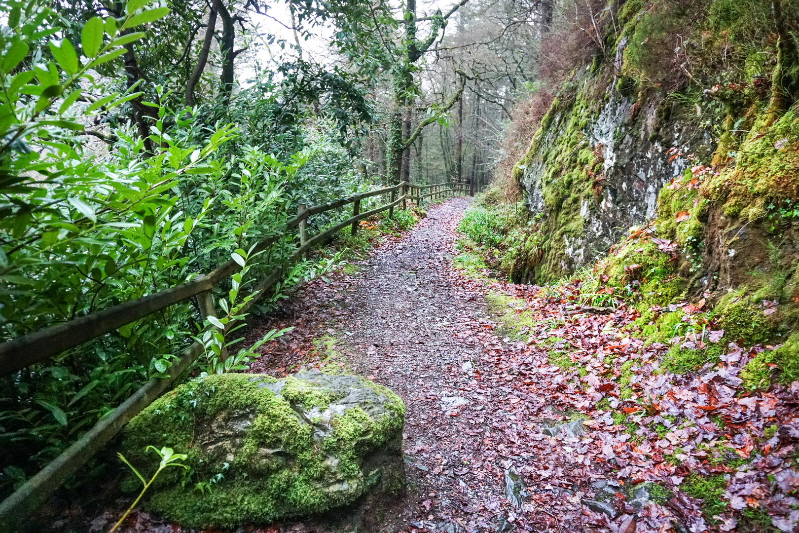 An image depicting the trail The Devil's Glen and its surrounding area.