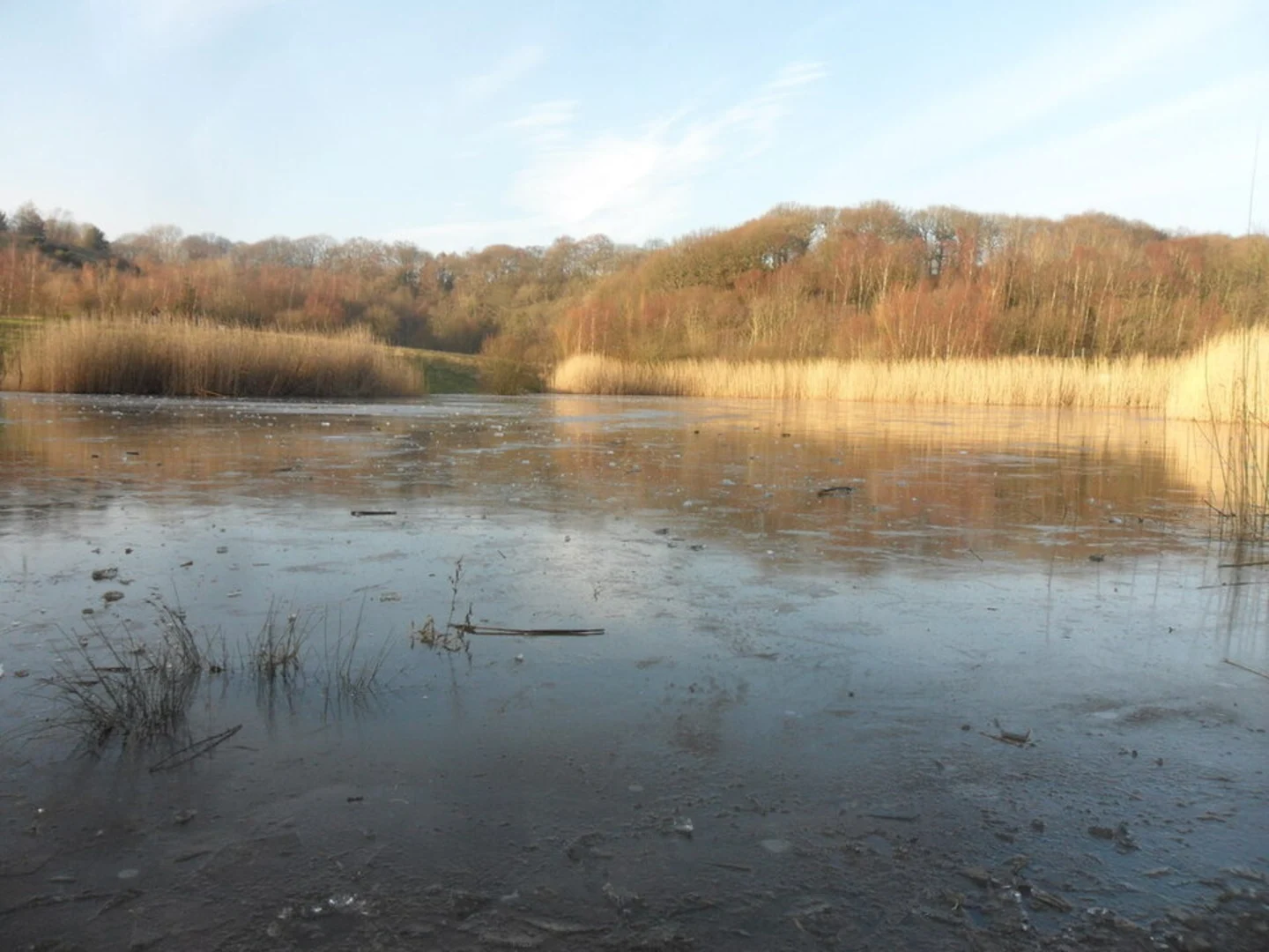An image depicting the trail Derwent Walk Country Park Loop and its surrounding area.