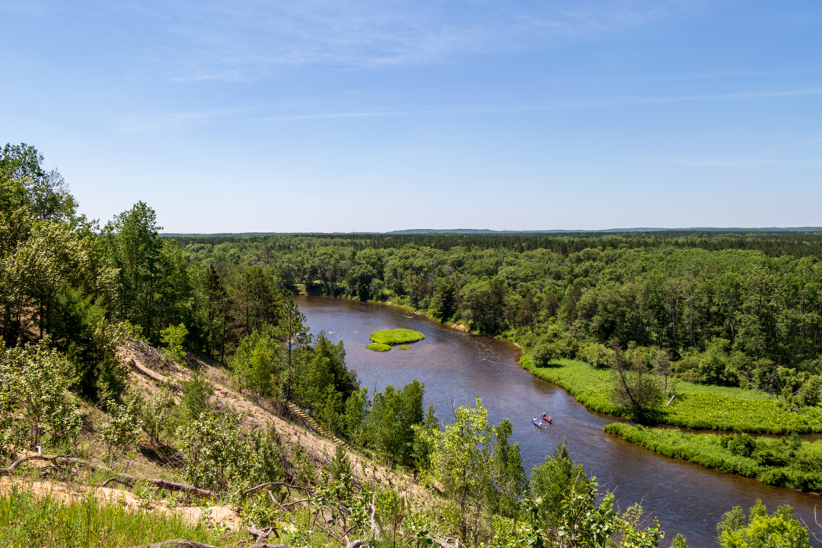 An image depicting the trail Wolf Creek - Fireweed Trail and its surrounding area.