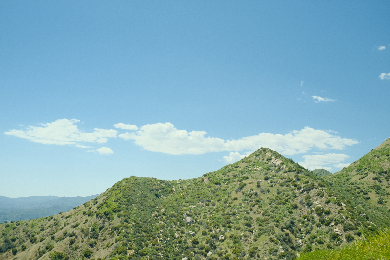 An image depicting the trail Howard Creek Trail and its surrounding area.