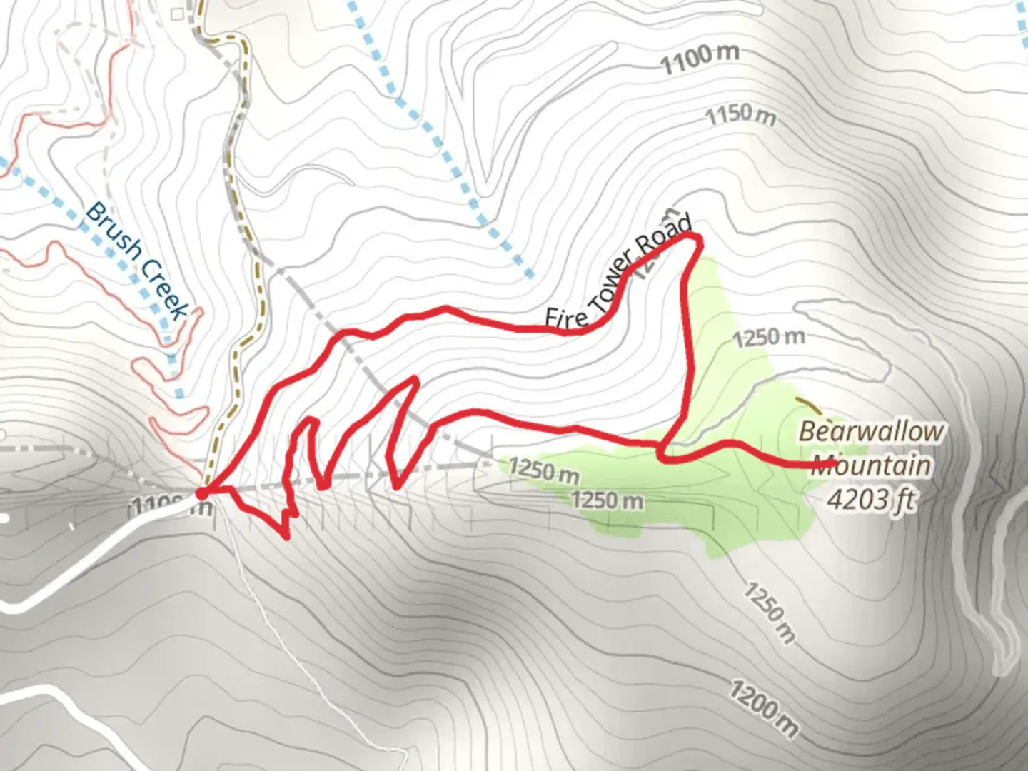 An image depicting the trail Bearwallow Mountain Trail and its surrounding area.