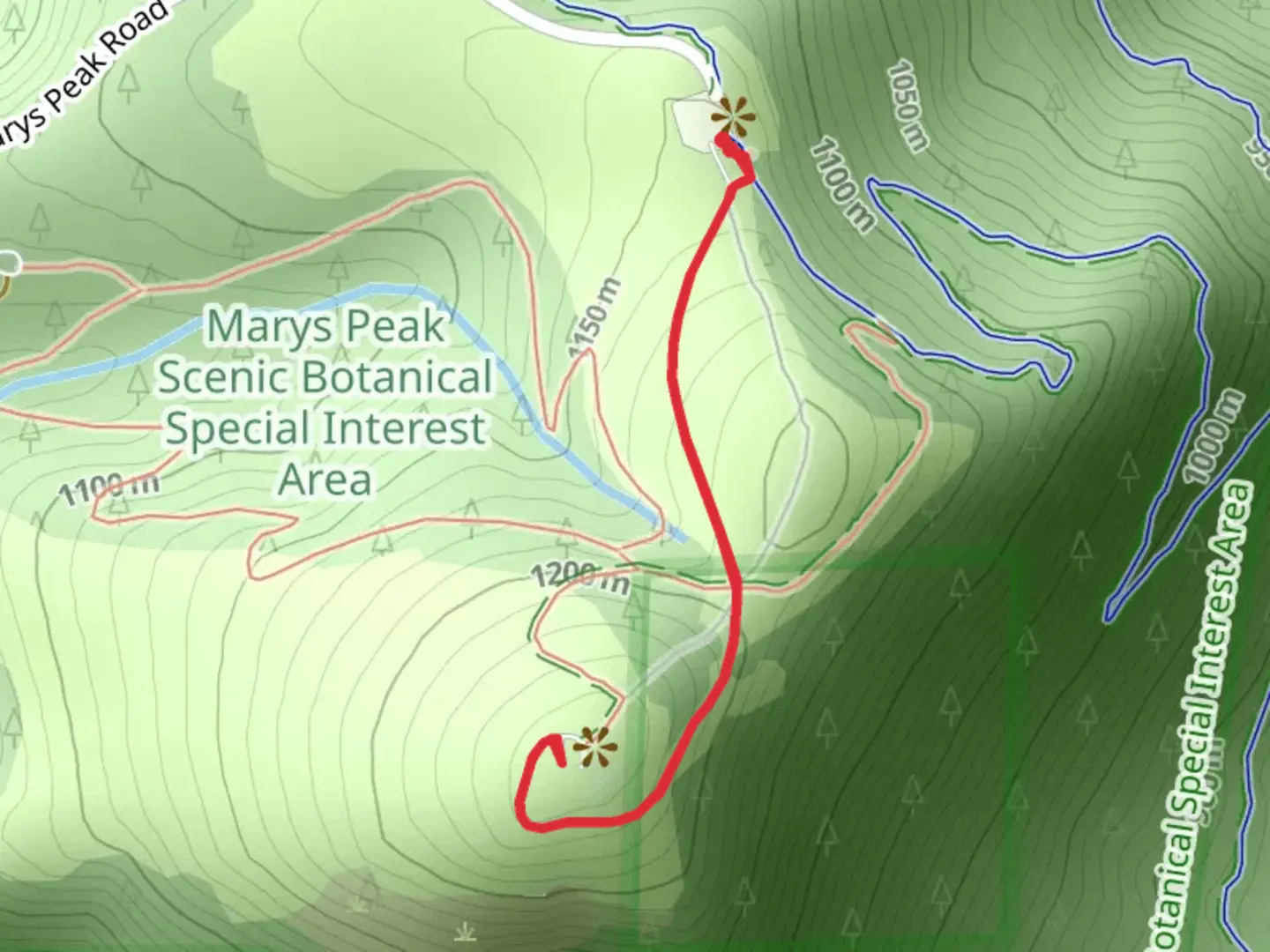 An image depicting the trail Marys Peak - Marys Peak Road and its surrounding area.