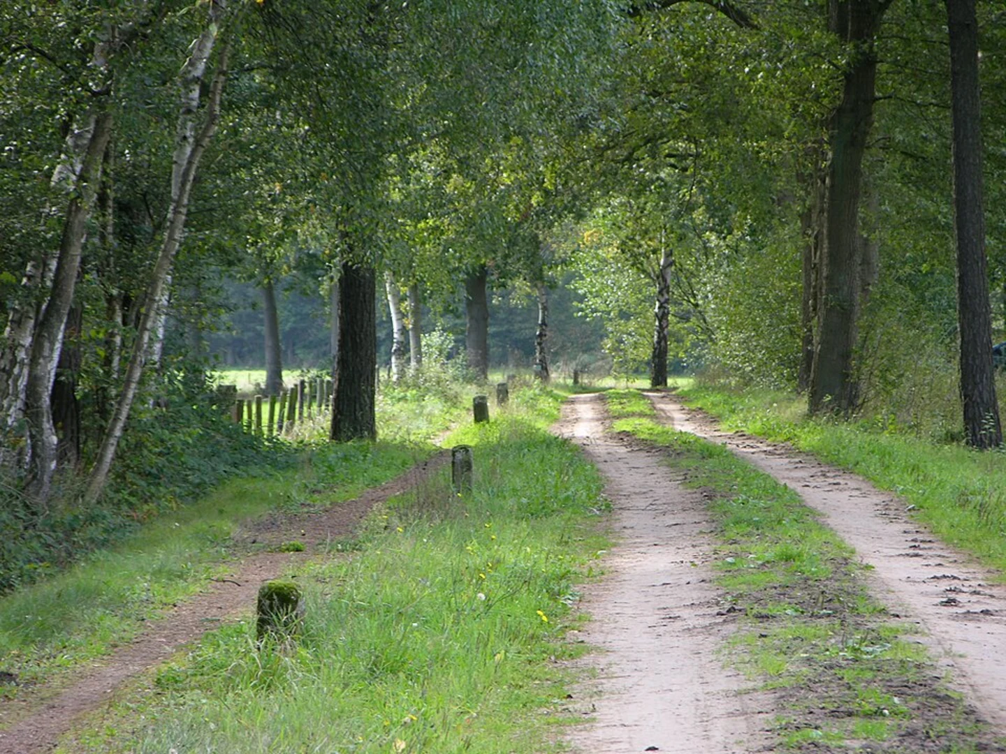 An image depicting the trail Noaberpad and Bredeler Weg Loop and its surrounding area.
