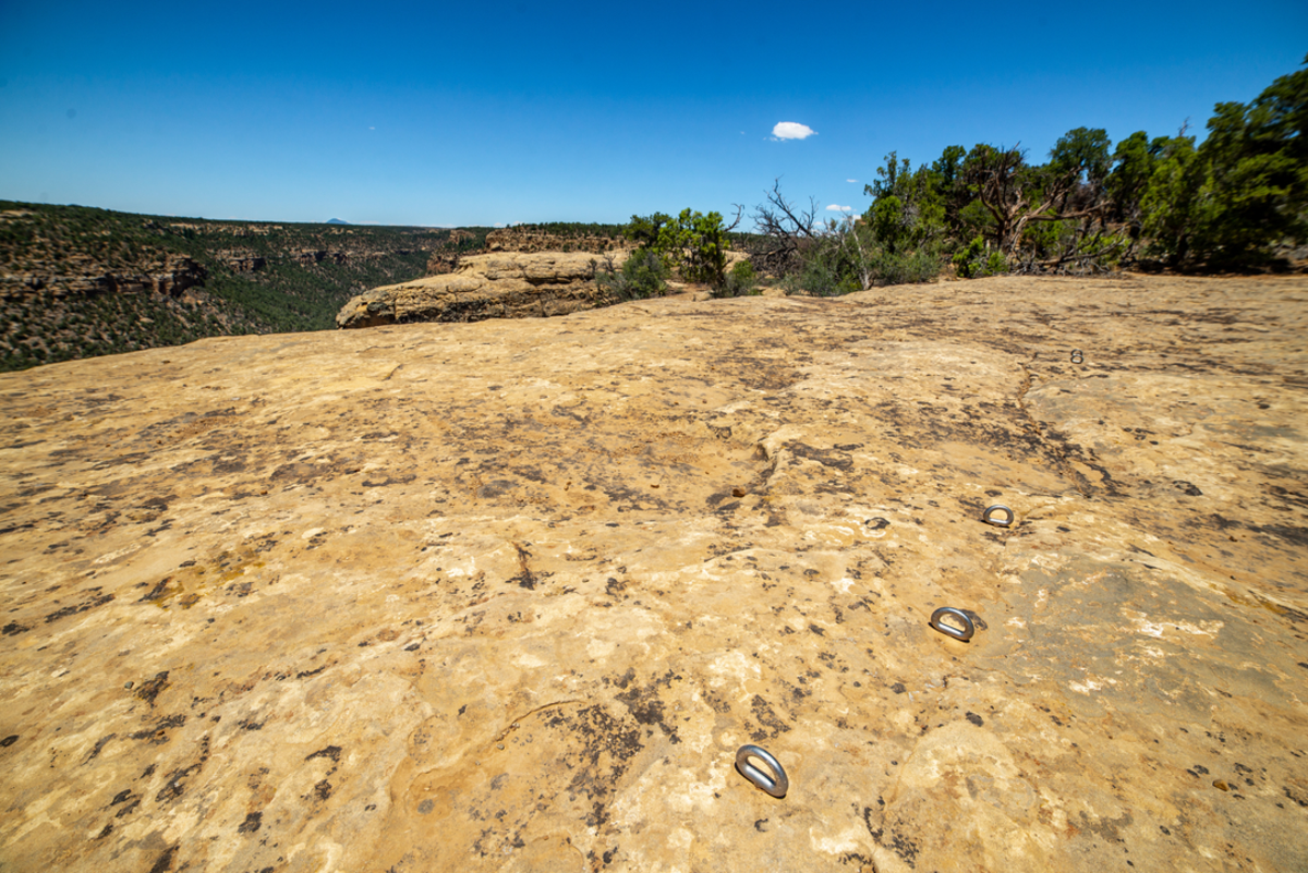 Petroglyph Point Trail Loop