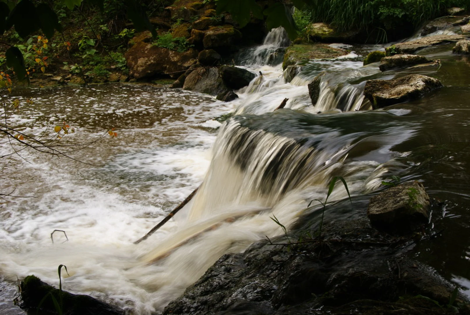 An image depicting the trail Hever Castle Wood and its surrounding area.