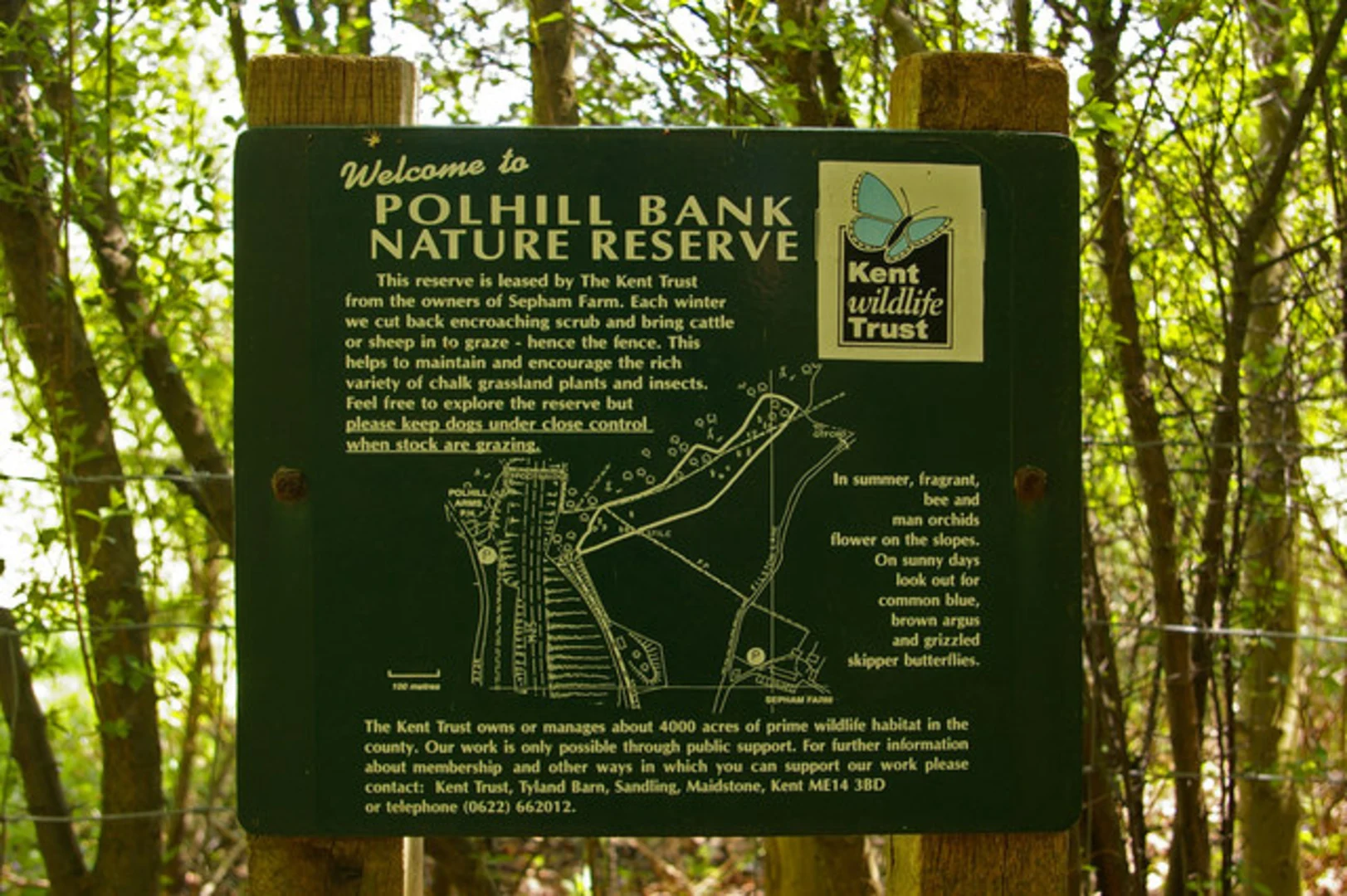 An image depicting the trail Otford to Shoreham Loop and its surrounding area.