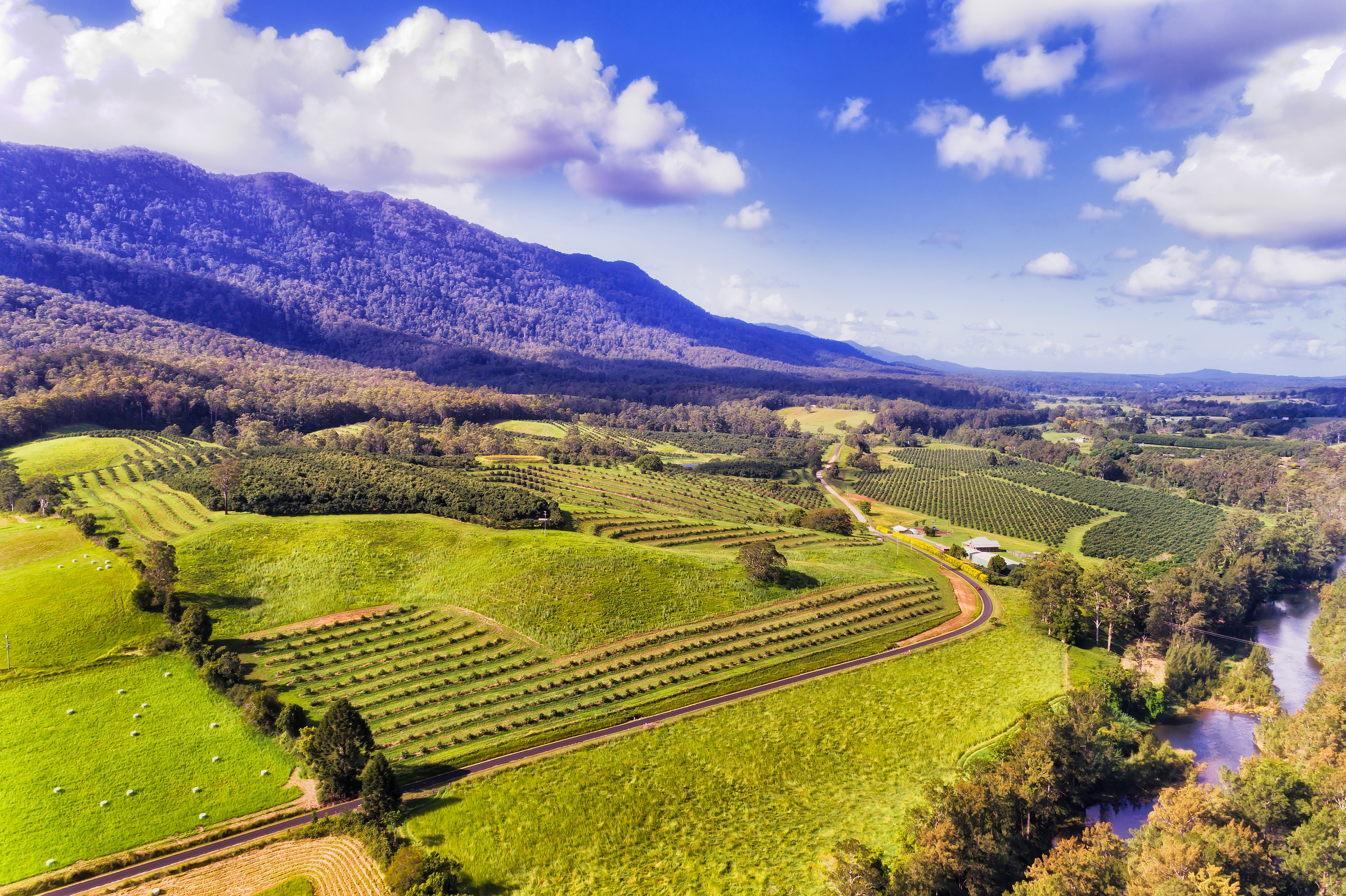 An image depicting the trail Bellinger River National Park and its surrounding area.