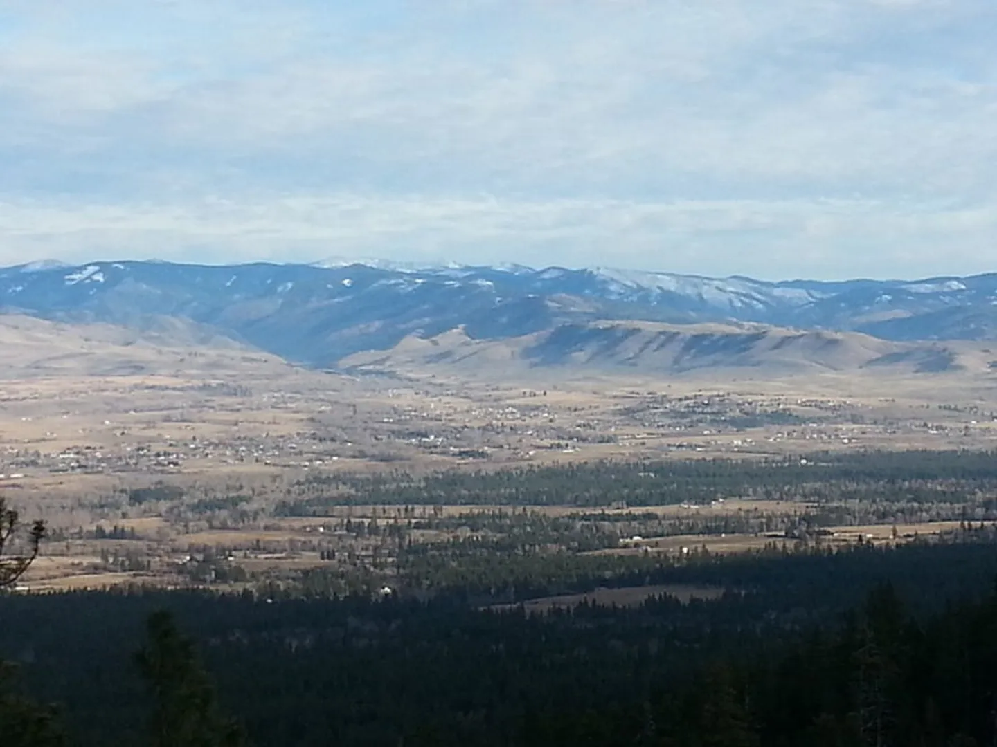 An image depicting the trail Blodgett Creek Trail and its surrounding area.