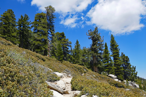 An image depicting the trail San Jacinto Trail and its surrounding area.