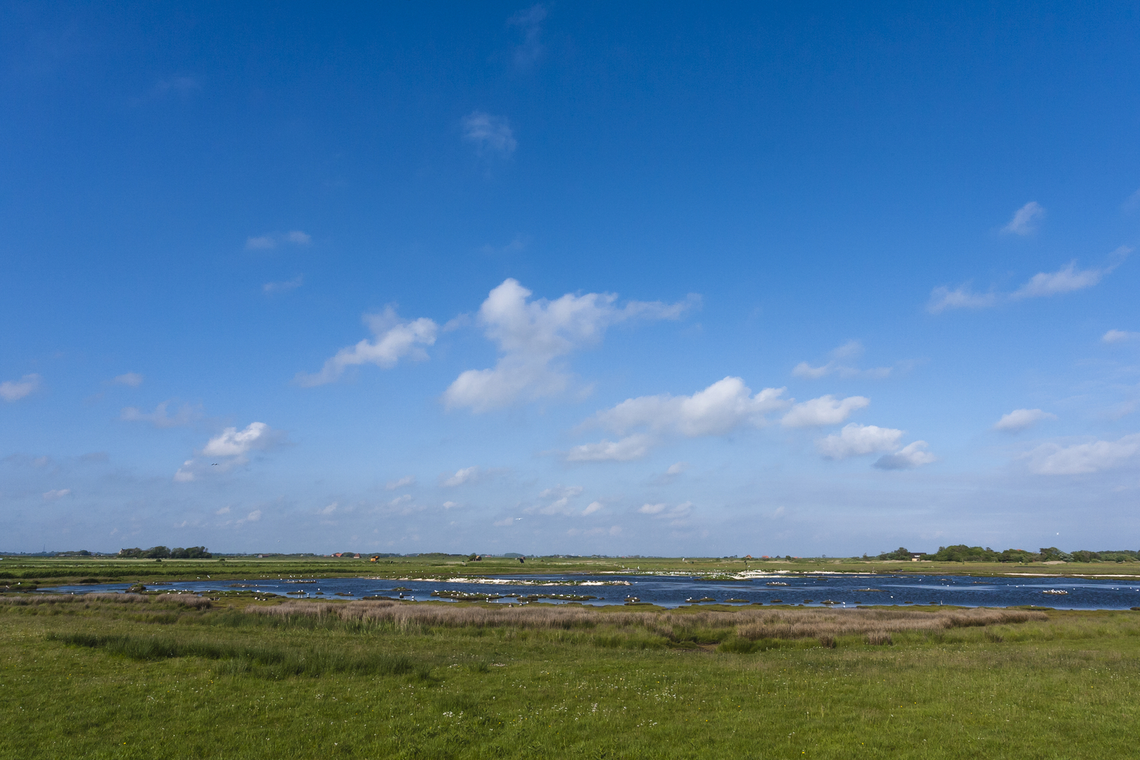 An image depicting the trail De Zanden via Pebe's Pad and its surrounding area.