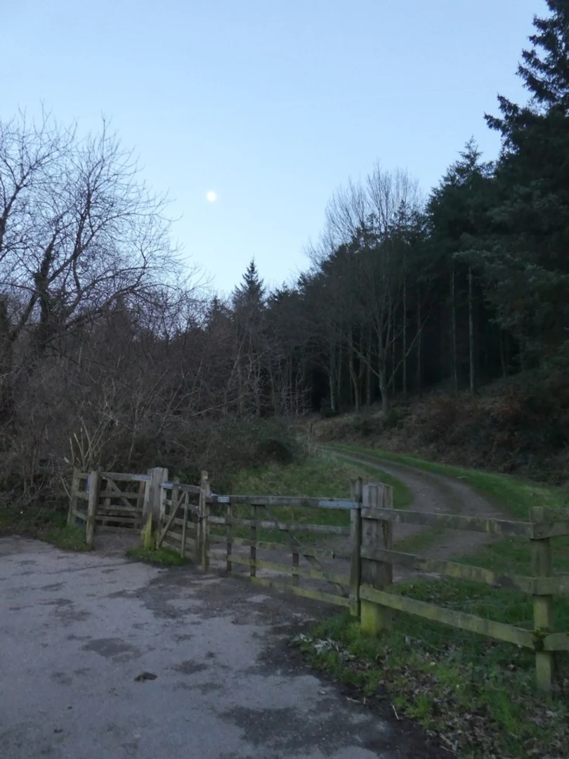 An image depicting the trail Deer Park, West Hill, Beacon Hill and Staple Plantation and its surrounding area.