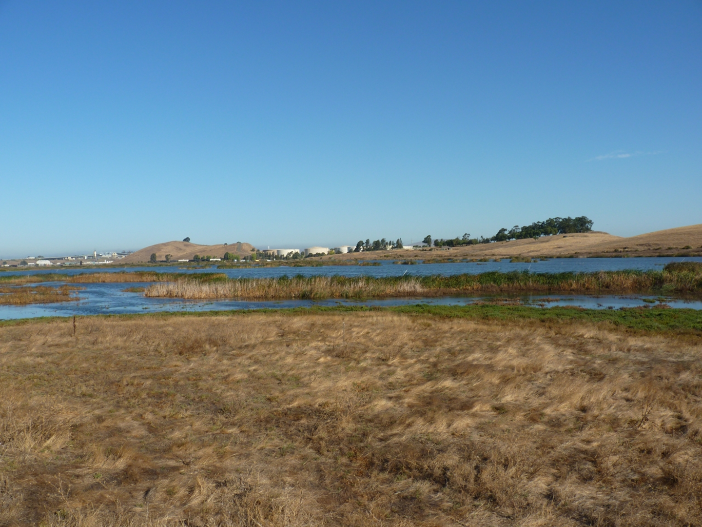 An image depicting the trail Meadowlark Ridge Loop and its surrounding area.