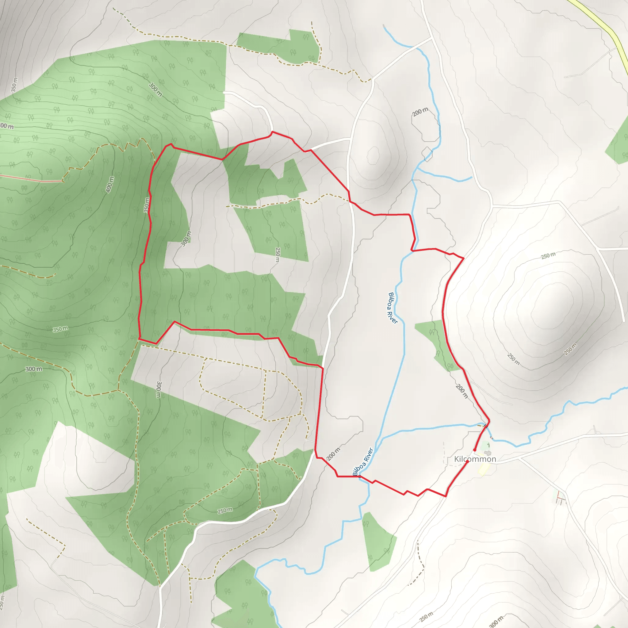 Kilcommon Pilgrim Loop Trail mobile static map
