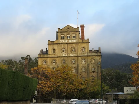 An image depicting the trail Hobart Rivulet Track and its surrounding area.