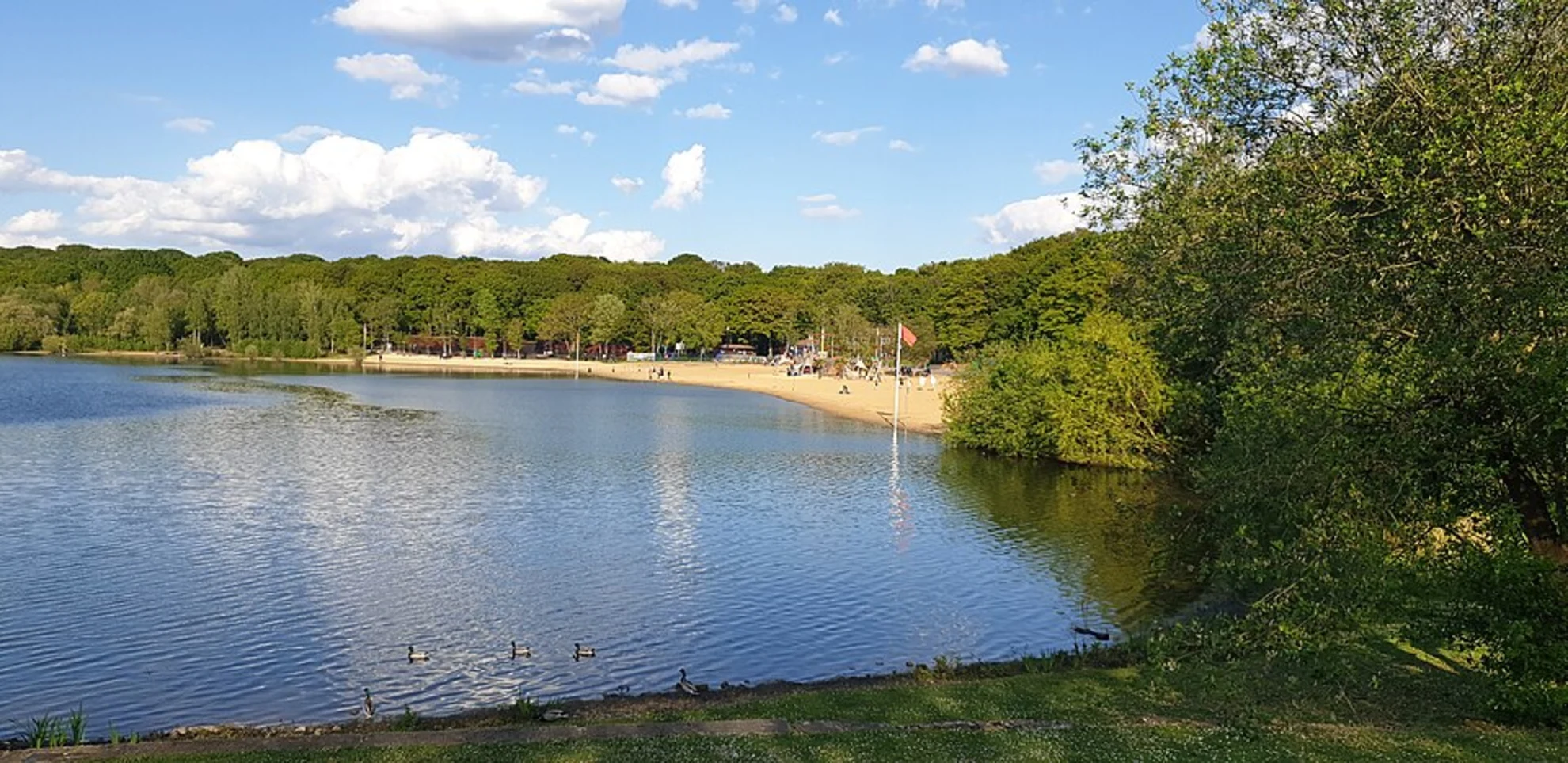 An image depicting the trail Copse Wood and Ruislip Lido Loop and its surrounding area.