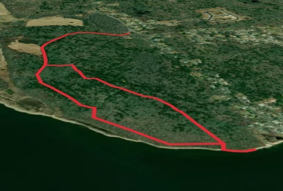 Birdle Trail and Holly Trail Loop