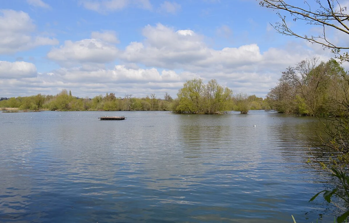 Bury Lake Circular Walk and Stocker's Lake Local Nature Reserve Loop