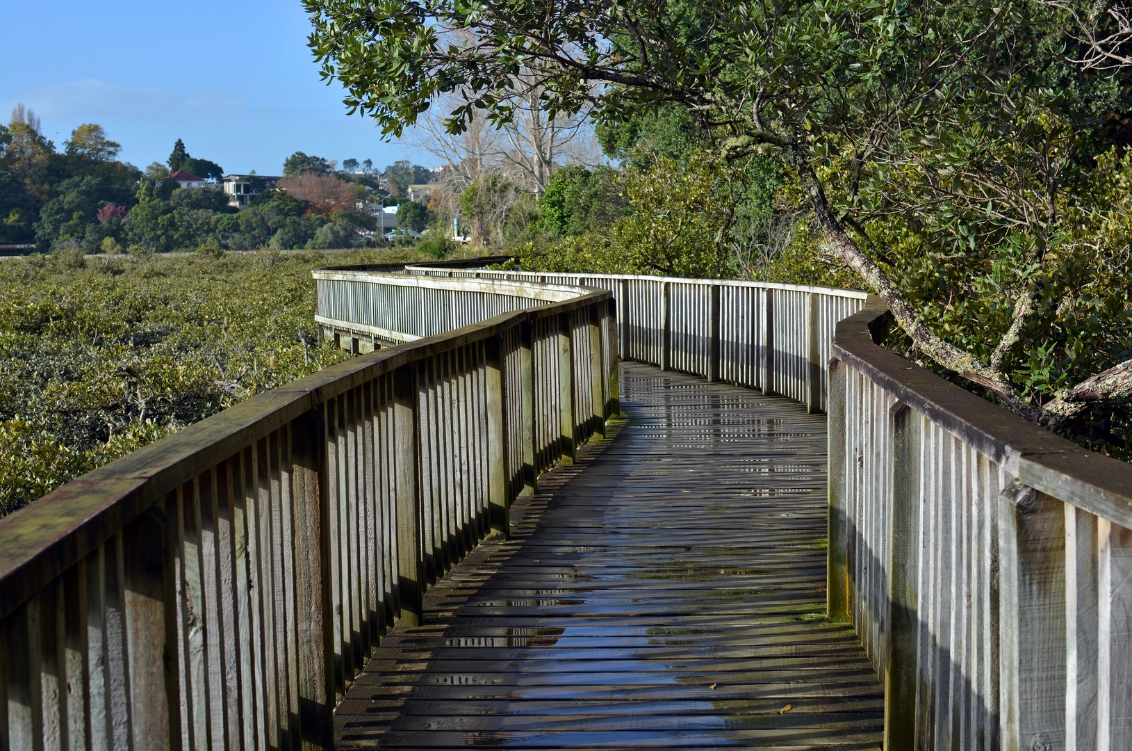 An image depicting the trail Hobsonbay Walkway and its surrounding area.
