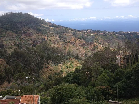 Levada da Serra do Faial