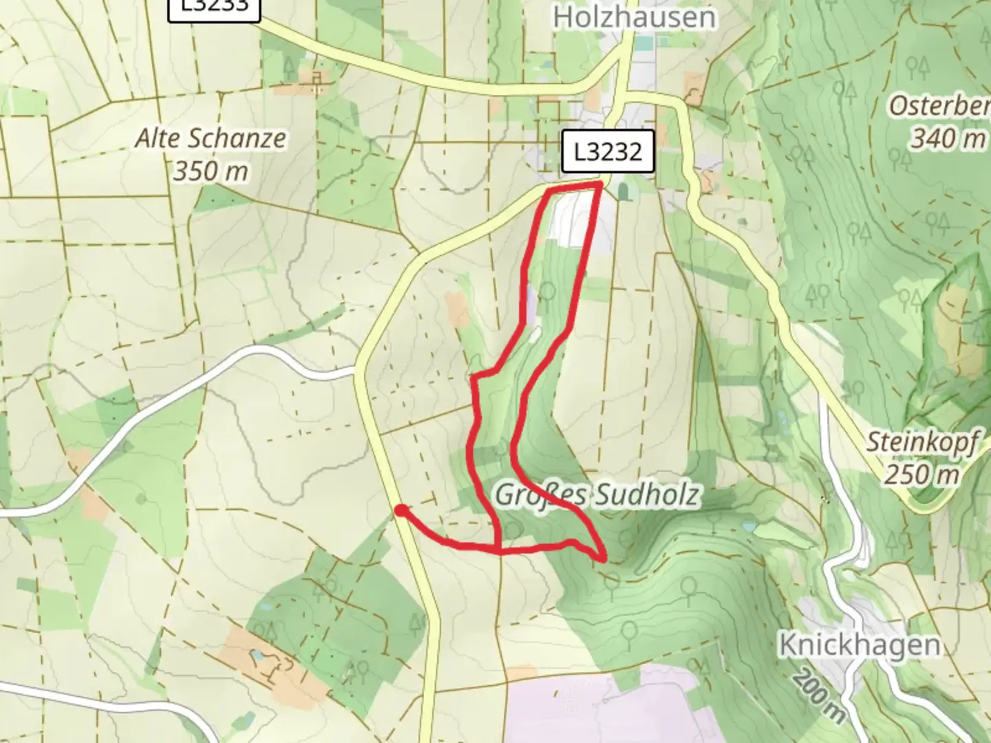 An image depicting the trail Steigerpfad Loop and its surrounding area.